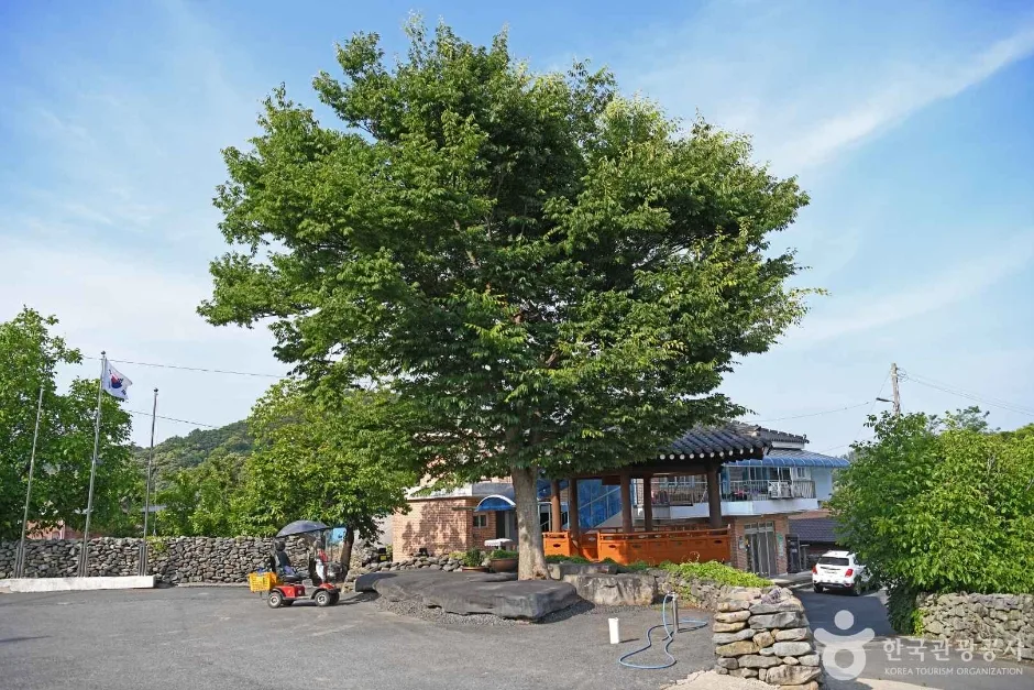 부여 반교마을 (5)