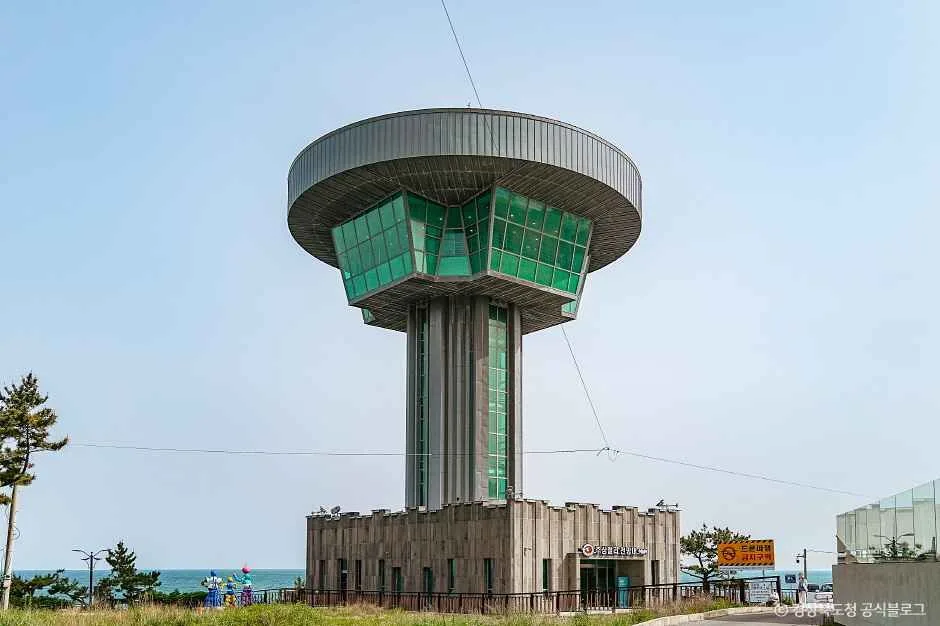 경주_경주 양남 주상절리 전망대 (1).jpg