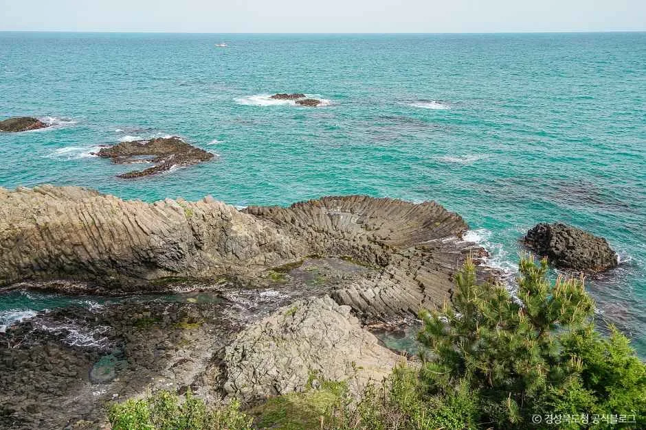 경주_경주 양남 주상절리 전망대 (2).jpg