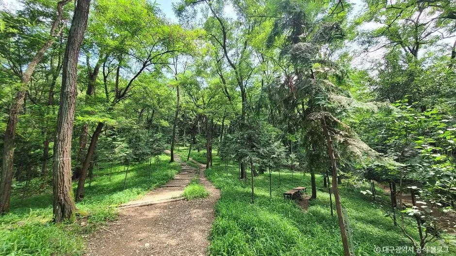 대구_와룡산(대구) (5)
