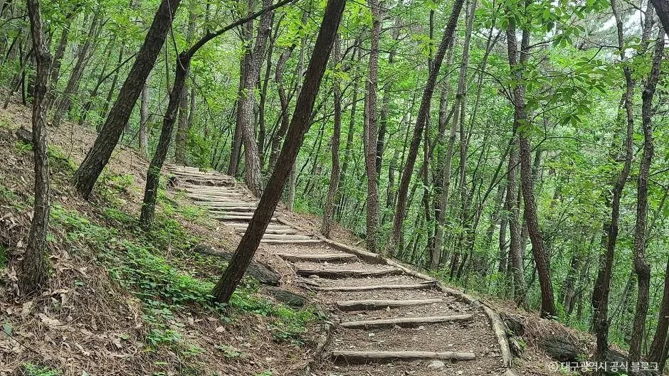 대구_와룡산(대구) (1)