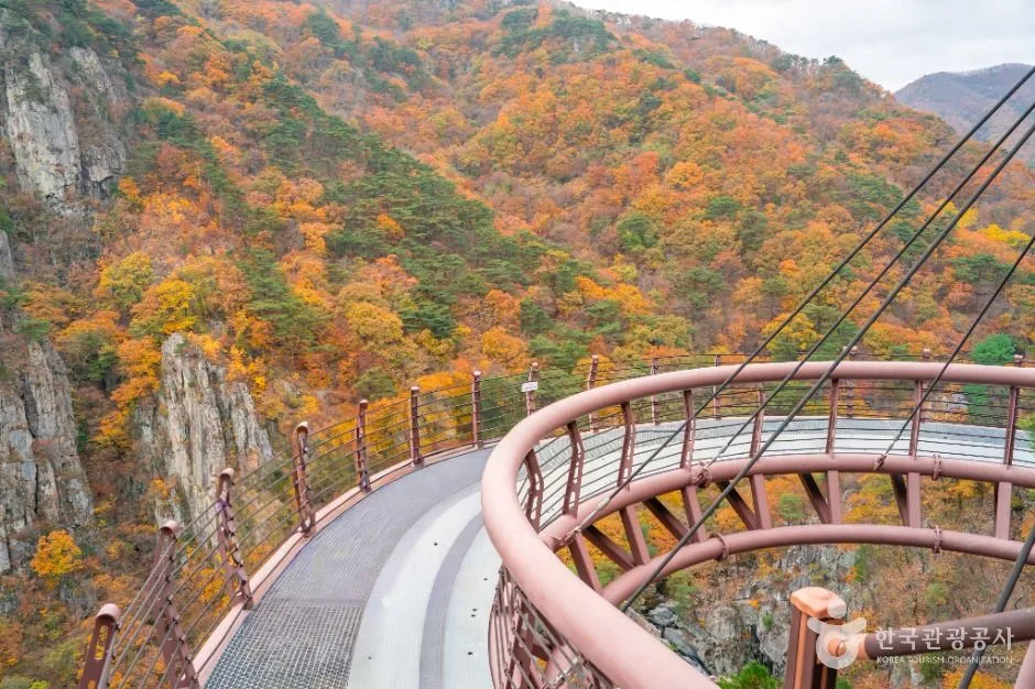 포항_내연산보경사시립공원 (5)