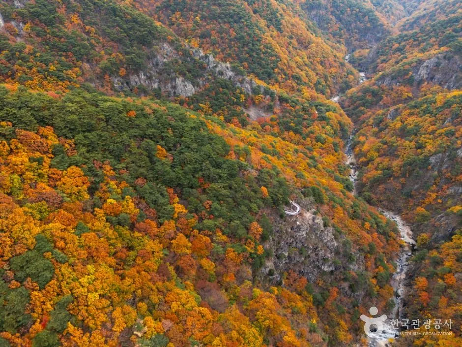 포항_내연산보경사시립공원 (6)