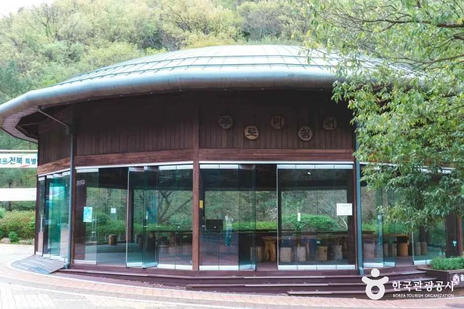 전북_완주_대아수목원_푸르미쉼터 옆 고목1.jpg