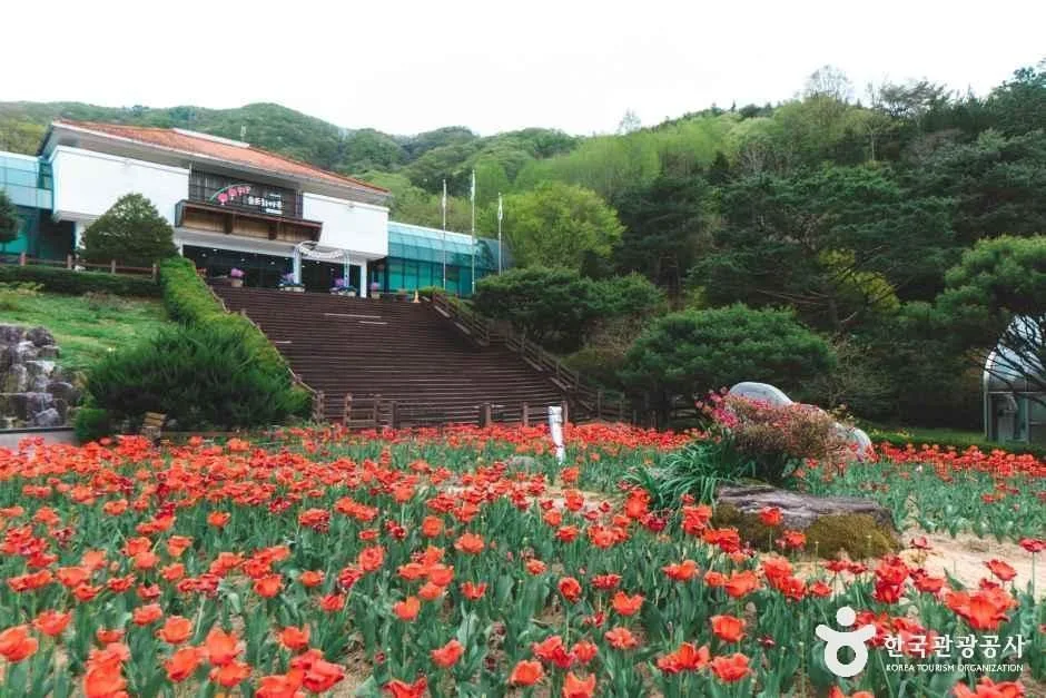 전북_완주_대아수목원_산책로3.jpg