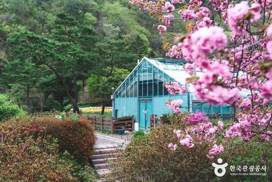 전북_완주_대아수목원_입구3.jpg