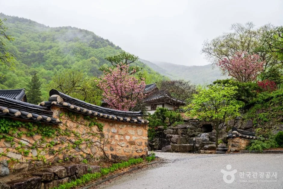 전북_완주_오성 한옥마을_외부_5.jpg