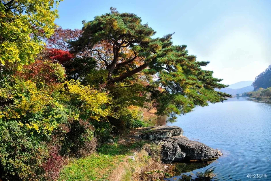 추령천 (4)