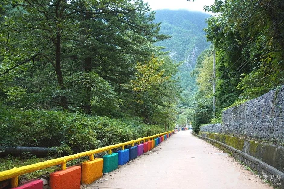 덕항산 (21)