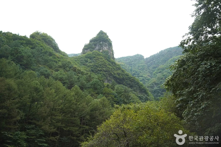 덕항산 (22)