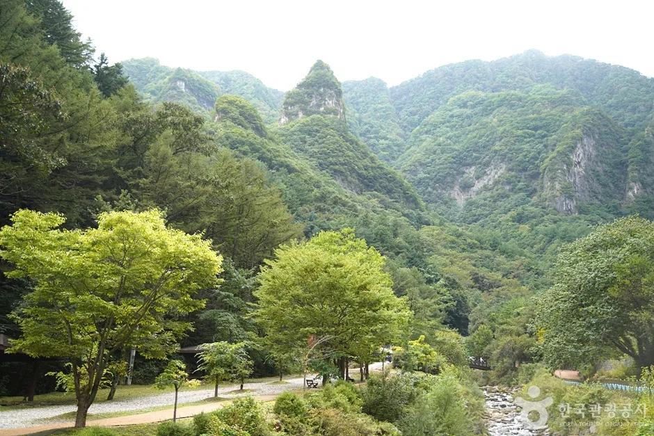 덕항산 (19)