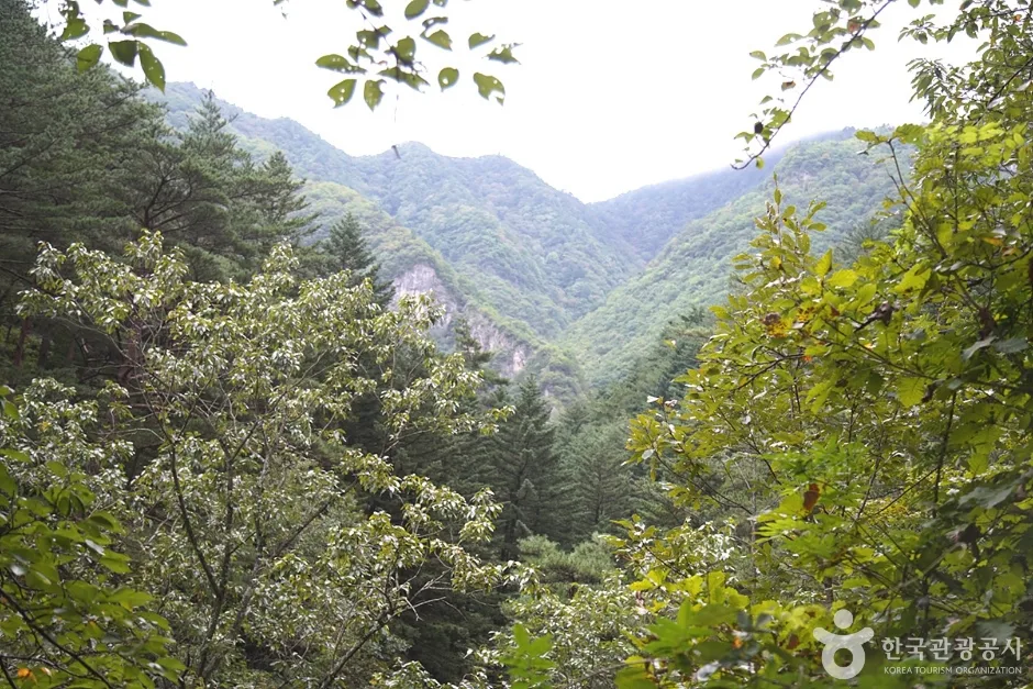 덕항산 (23)