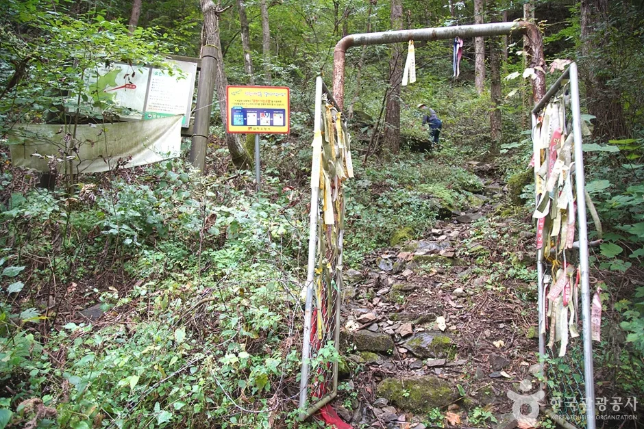 덕항산 (18)