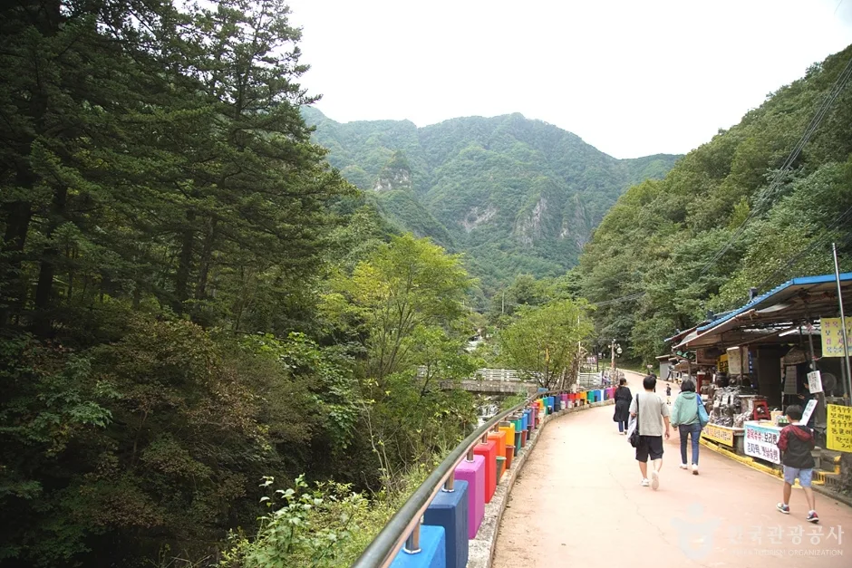 덕항산 (15)