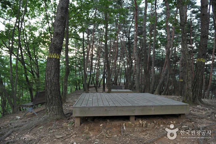 백아산자연휴양림