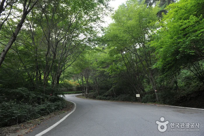 백아산