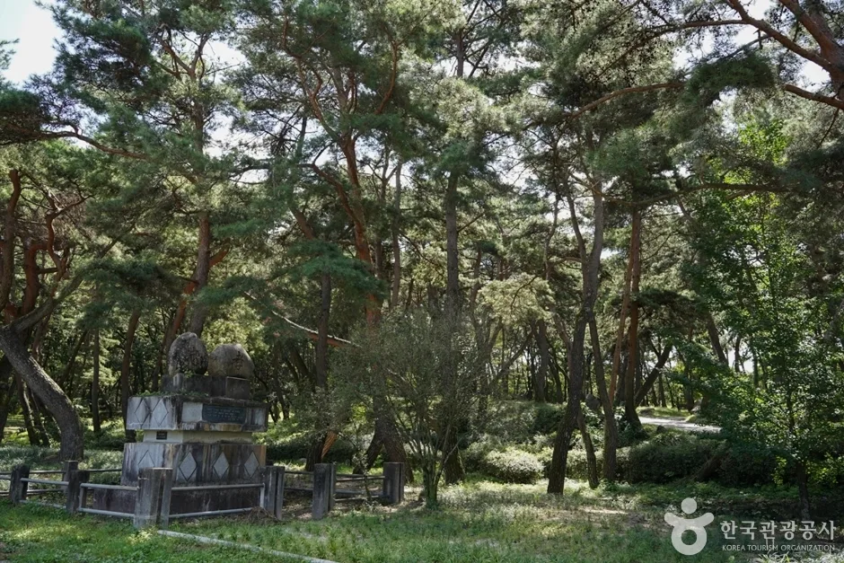곰내미체험마을 (11)
