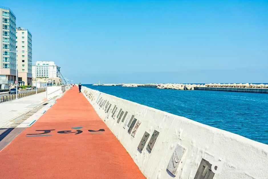 제주_탑동광장 (3).jpg