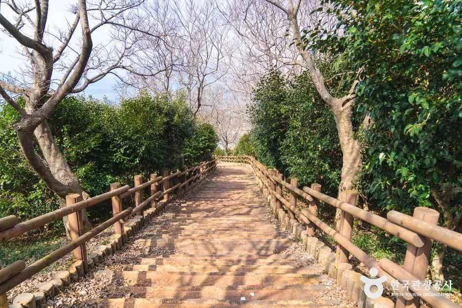 백수해안도로_9