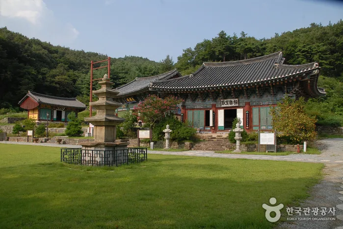 대전의 역사를 찾아가는 길