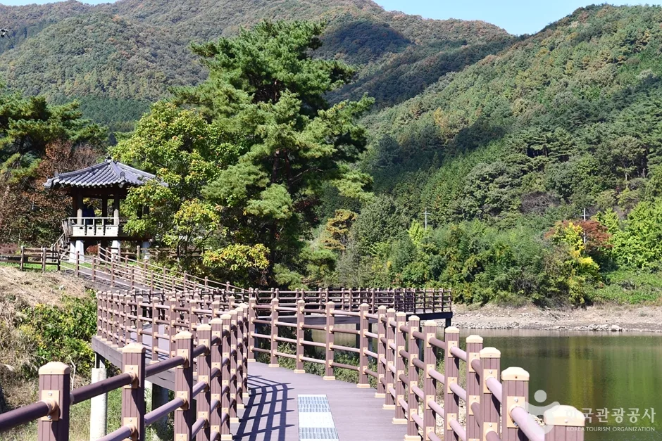전남_장성_모암저수지 (13)