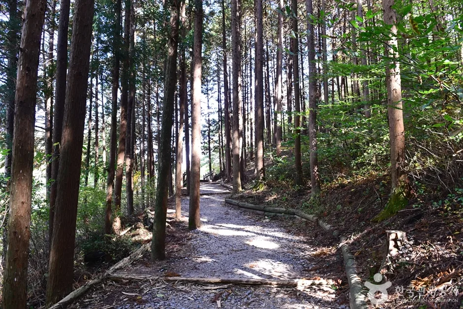 전남_장성_모암저수지 (7)