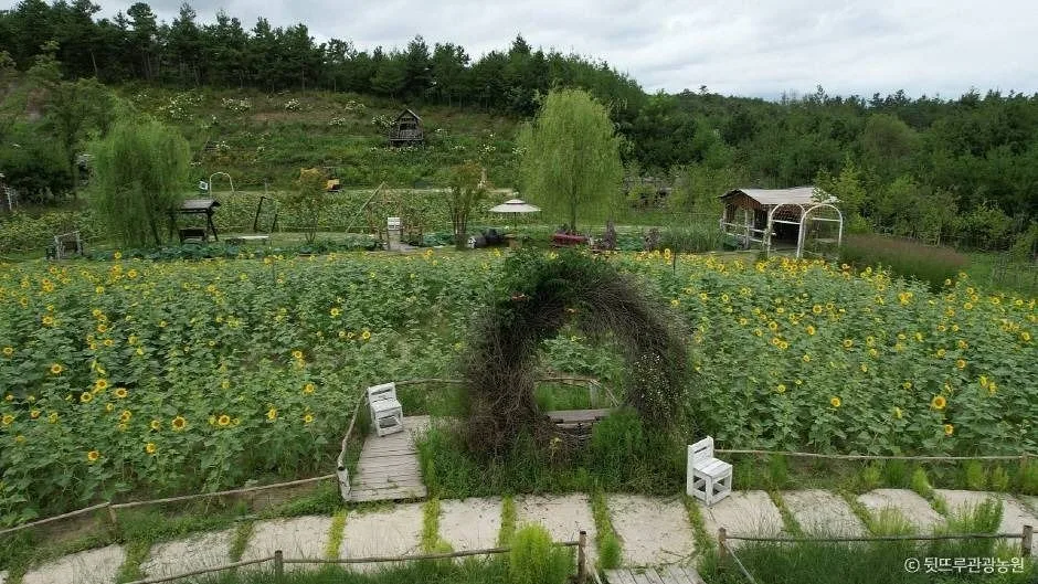 강릉_뒷뜨루관광농원 (5)