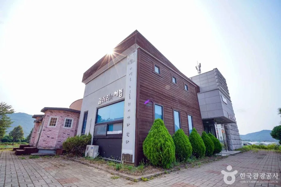 사천녹차단지 (5)