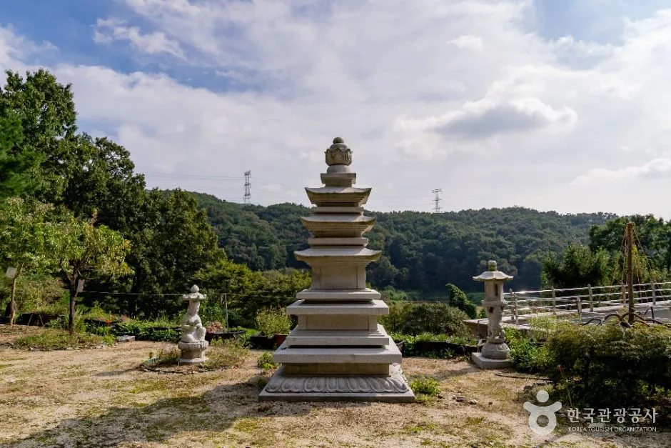 세종_청안사(세종) (5)
