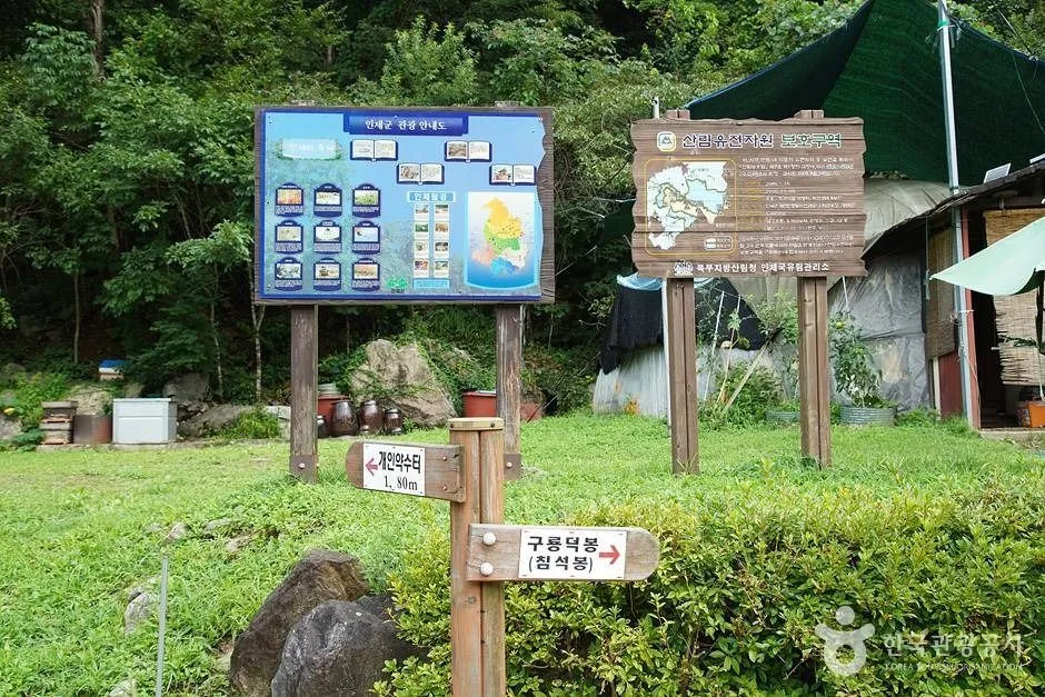 인제 미산리 개인약수 (21)