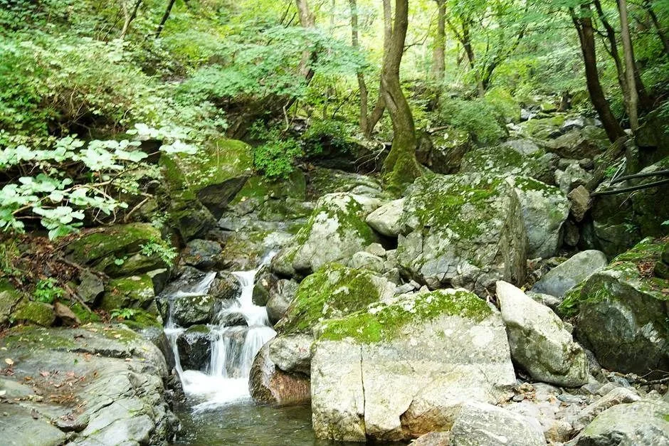 인제 미산리 개인약수 (05)