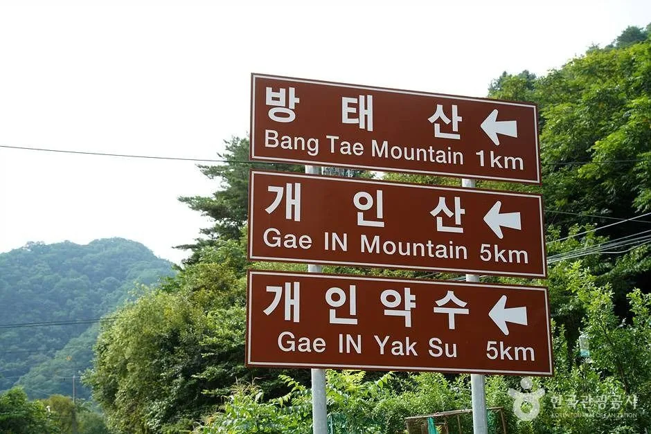 인제 미산리 개인약수 (10)