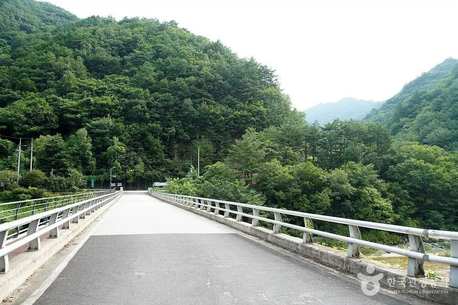 인제 미산리 개인약수 (08)