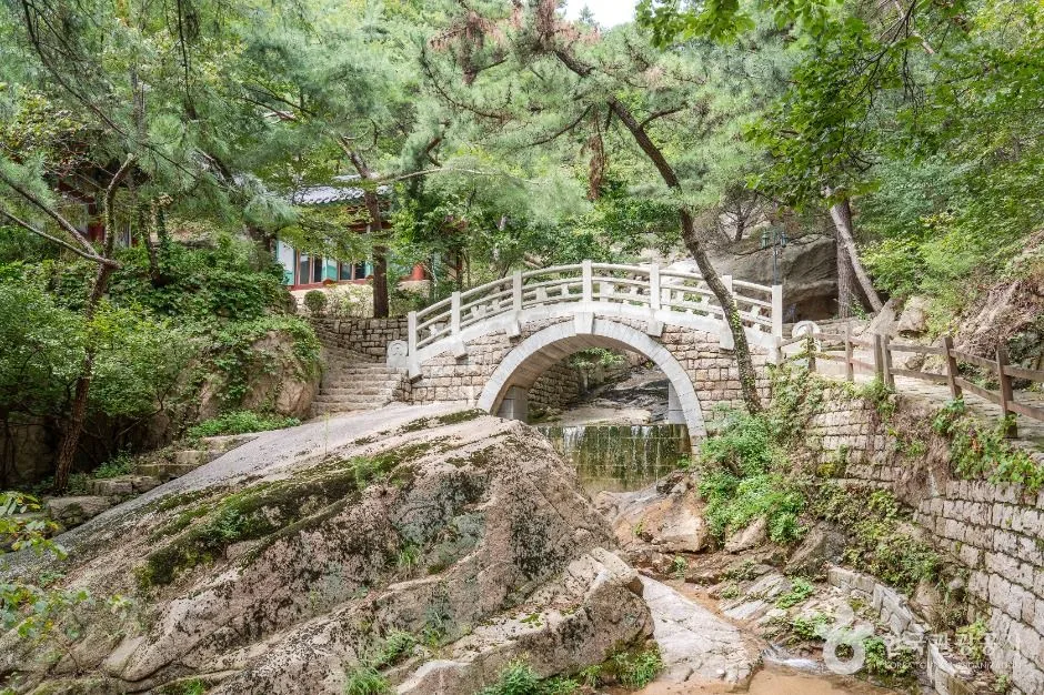 종로_금선사(서울) (5)