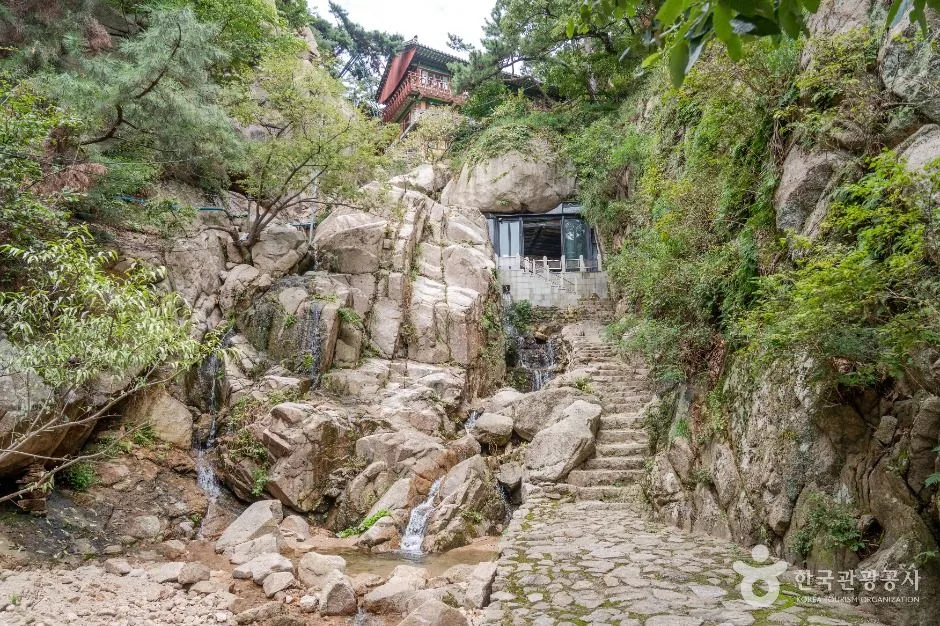 종로_금선사(서울) (6)
