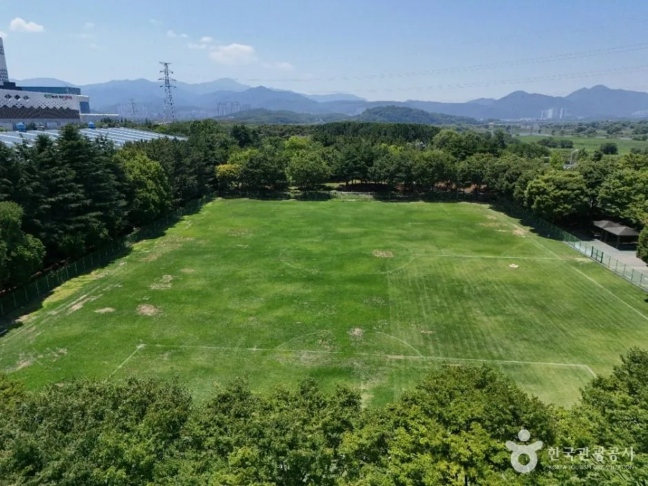 대구_호림강나루공원 (3)