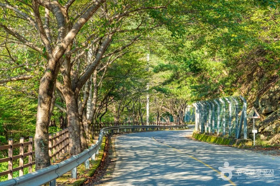 하동_백암동천 (7)