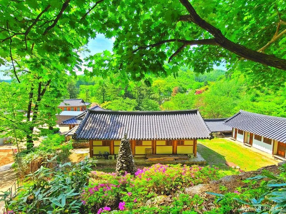 남양주_묘적사 (9)