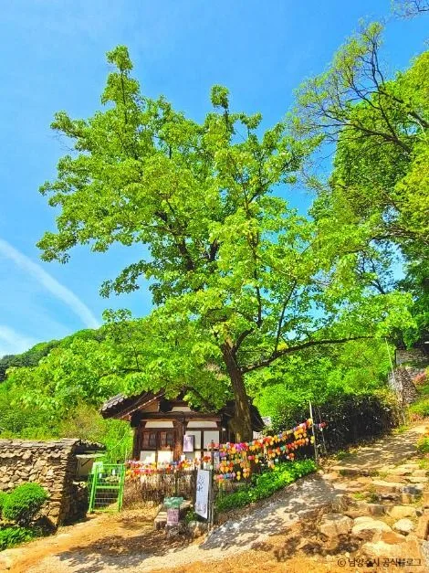 남양주 묘적사
