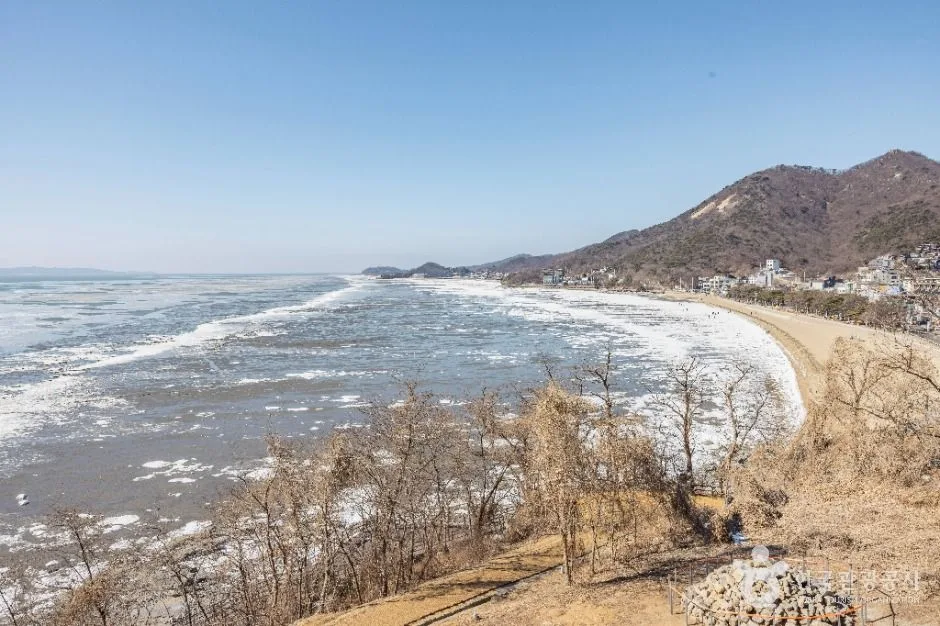 인천_동막해변 (6)