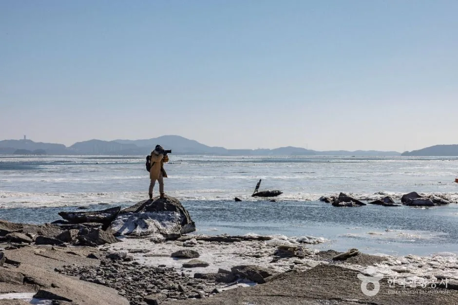 인천_동막해변 (11)