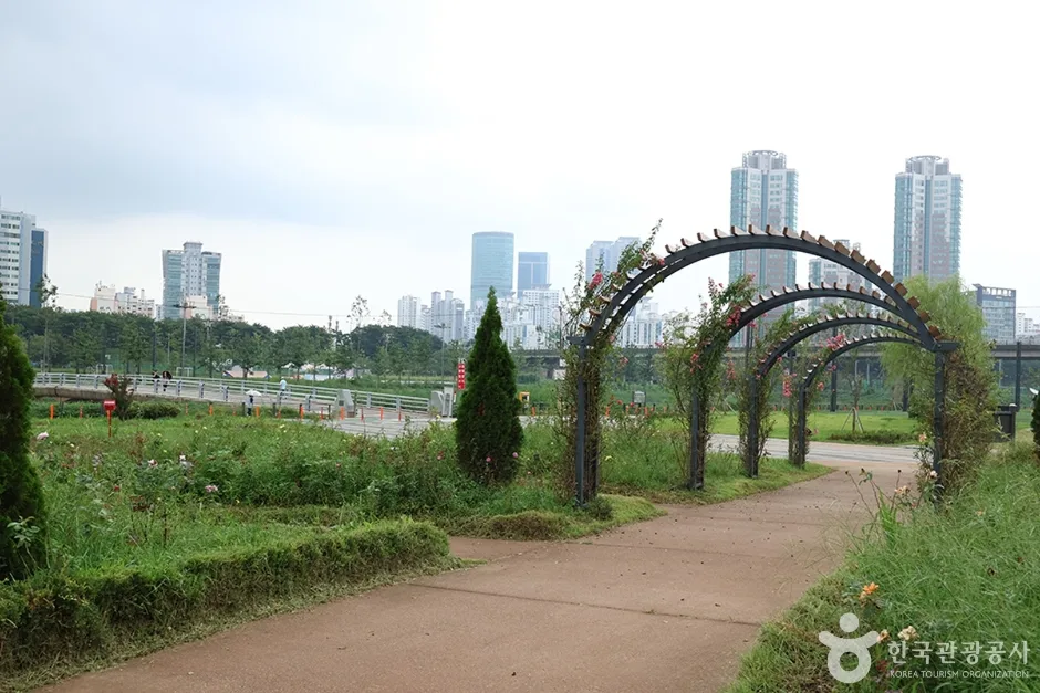 안양천생태공원 (10)
