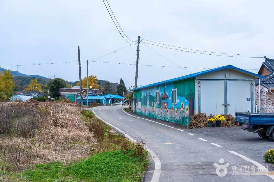 보령_청라 은행마을 (보령) (7)