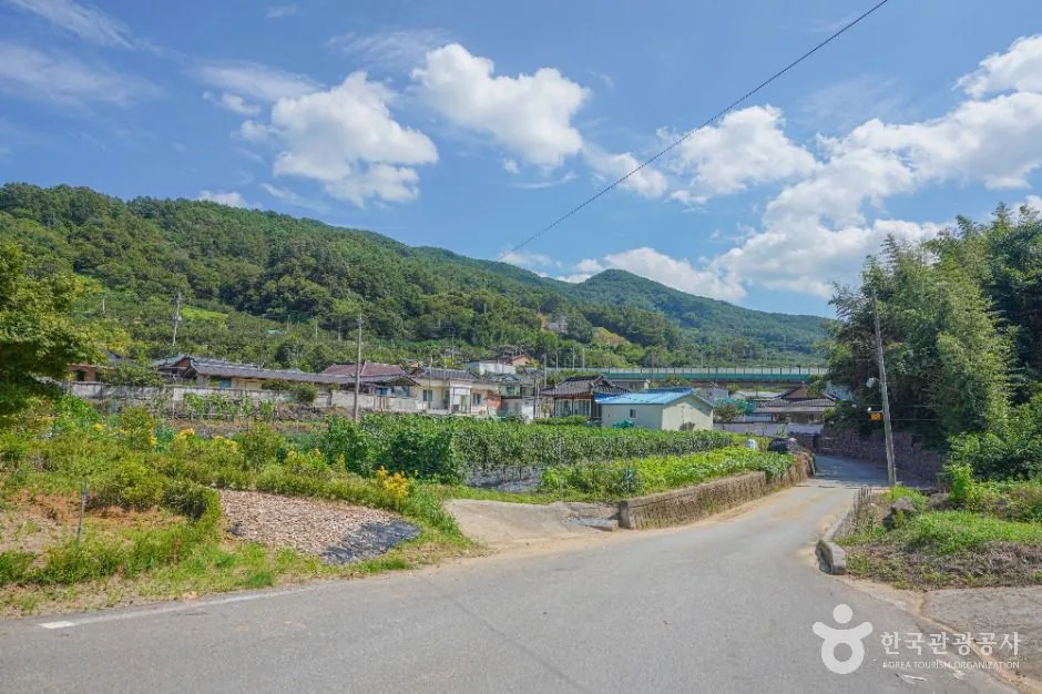 전남_곡성 하늘나리마을 (4)