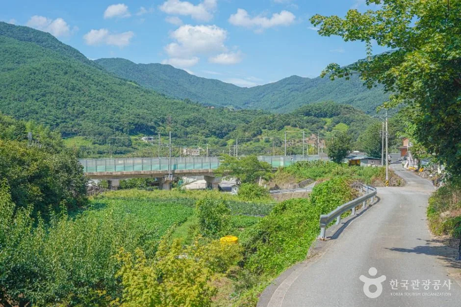 전남_곡성 하늘나리마을 (3)