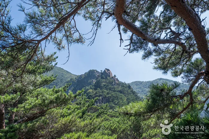 두타산