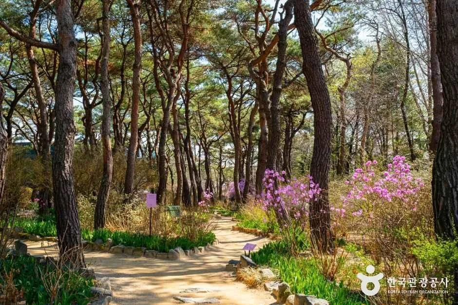 파주_벽초지수목원 (1)
