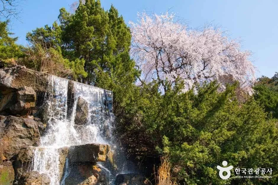 파주_벽초지수목원 (6)