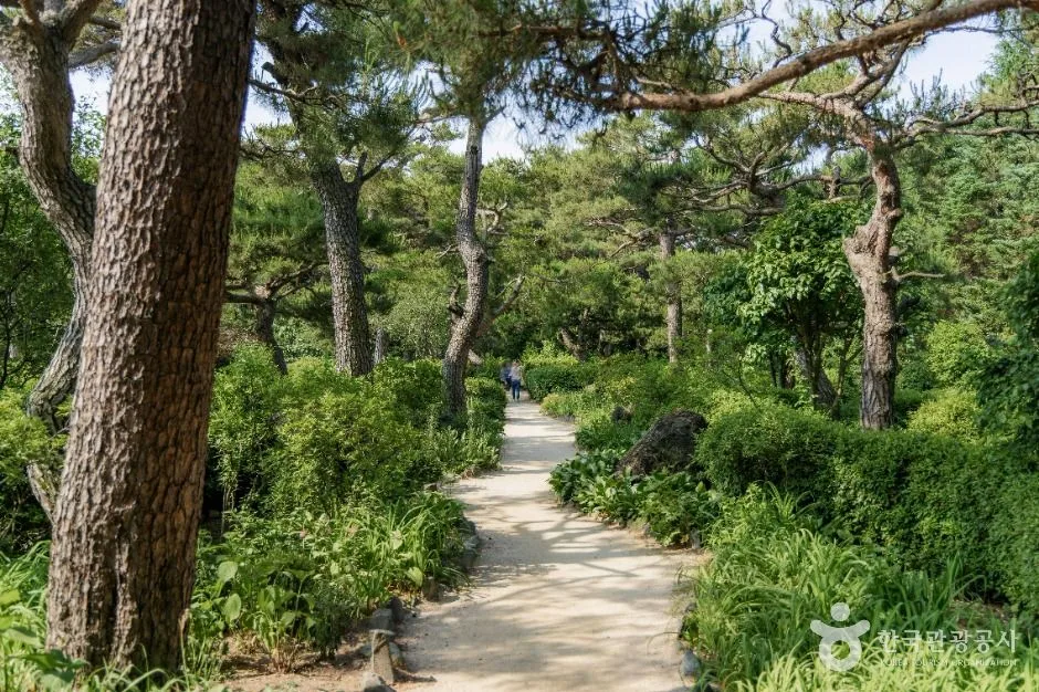 경기_파주_벽초지수목원_외부_1.jpg