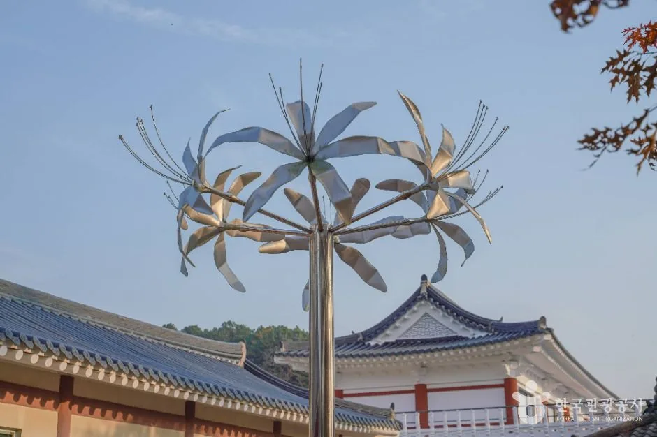 영광_상사화피는마을 (10)